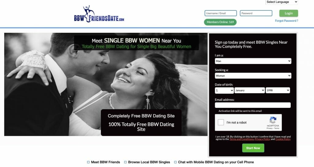 Online Dating Profile Headlines And Profile Examples