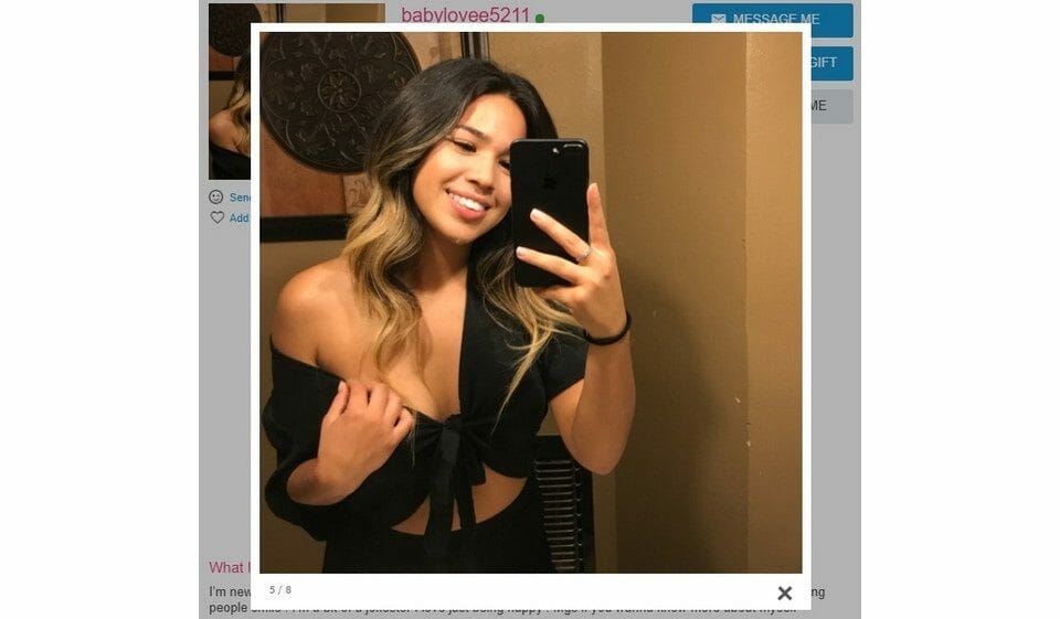 AshleyMadison girl Summary